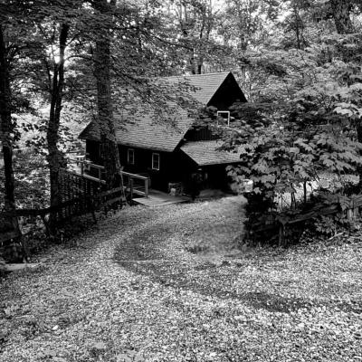 Cabin In The Woods Robert Schneider Yellow Ribbon