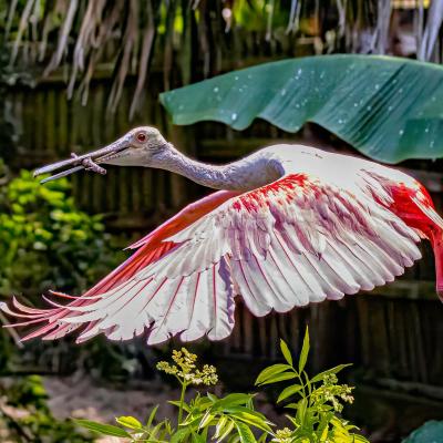Nature & Wildlife